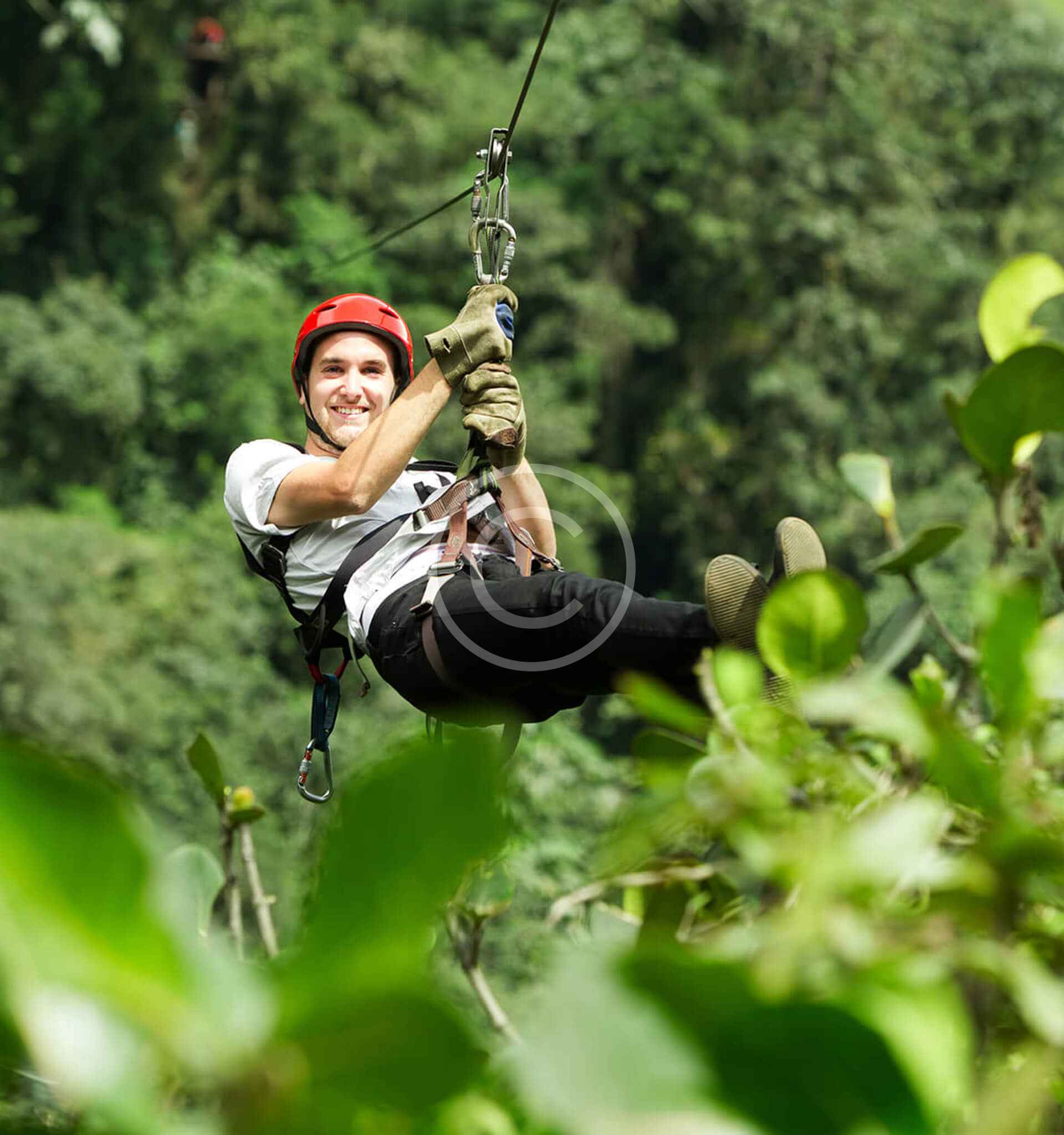 image-home2-copyright (25)